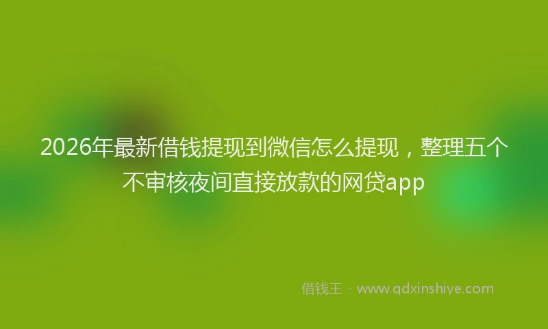 2026年最新借钱提现到微信怎么提现，整理五个不审核夜间直接放款的网贷app