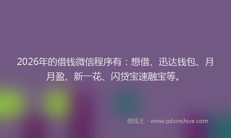 2026年的借钱微信程序有：想借、迅达钱包、月月盈、新一花、闪贷宝速融宝等。
