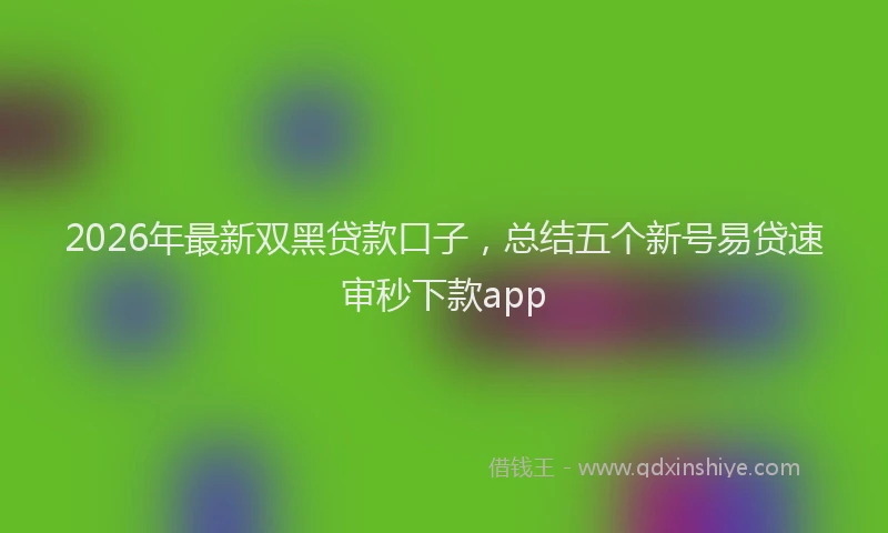 2026年最新双黑贷款口子，总结五个新号易贷速审秒下款app