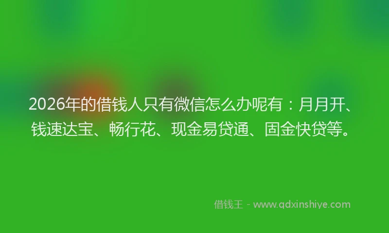 2026年的借钱人只有微信怎么办呢有:月月开、钱速达宝、畅行花、现金易贷通、固金快贷等。