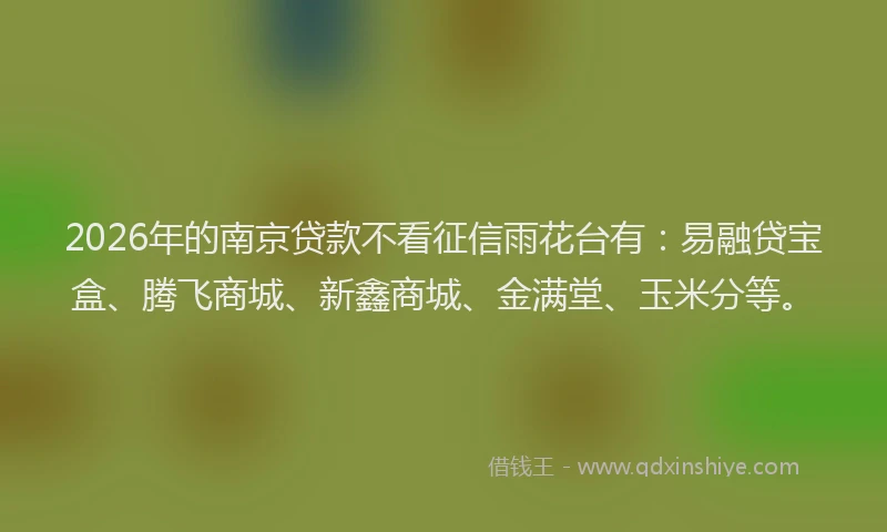 2026年的南京贷款不看征信雨花台有：易融贷宝盒、腾飞商城、新鑫商城、金满堂、玉米分等。