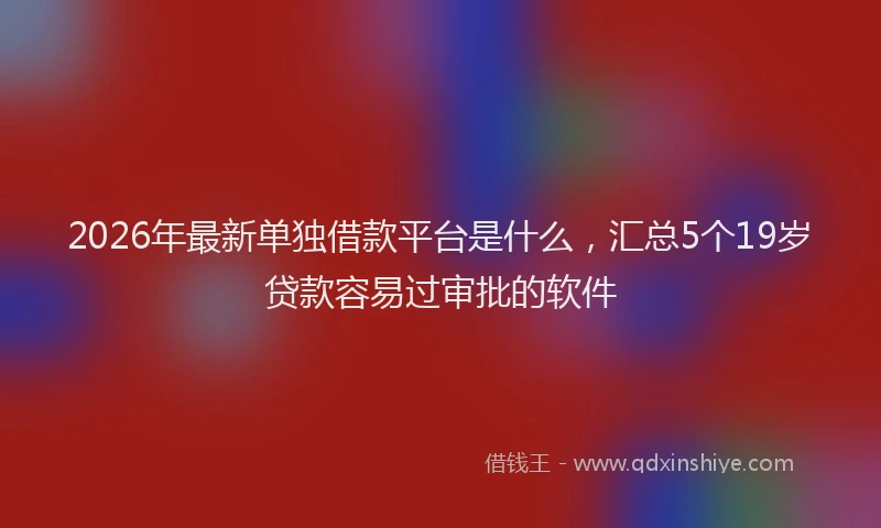 2026年最新单独借款平台是什么，汇总5个19岁贷款容易过审批的软件