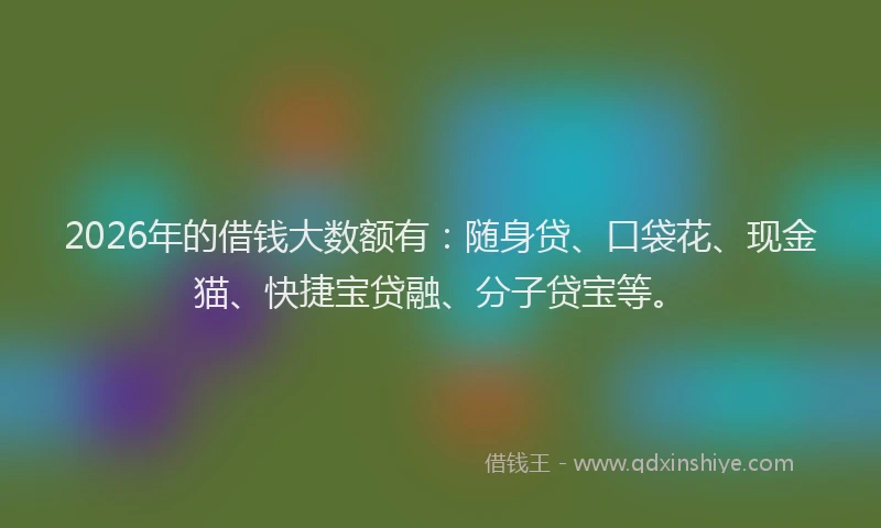 2026年的借钱大数额有:随身贷、口袋花、现金猫、快捷宝贷融、分子贷宝等。