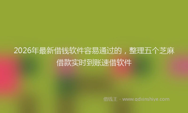 2026年最新借钱软件容易通过的，整理五个芝麻借款实时到账速借软件