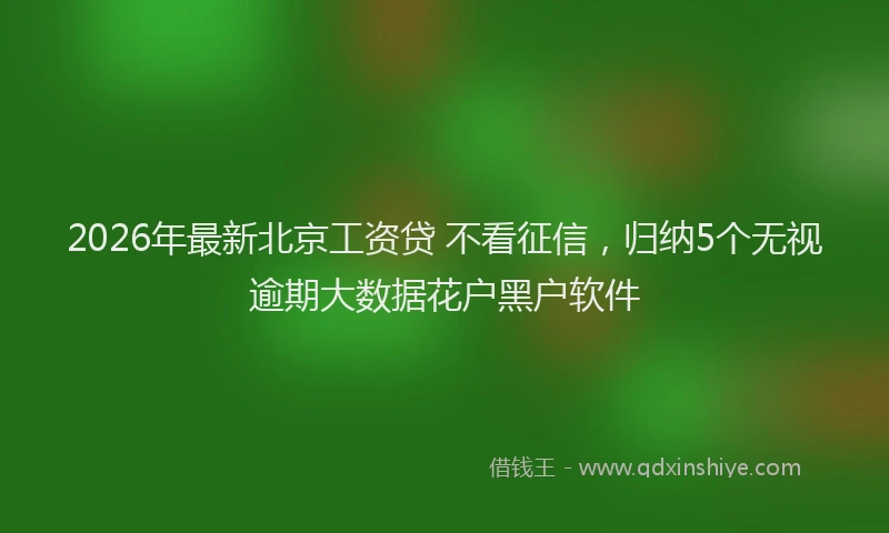 2026年最新北京工资贷 不看征信，归纳5个无视逾期大数据花户黑户软件