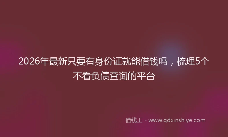 2026年最新只要有身份证就能借钱吗,梳理5个不看负债查询的平台