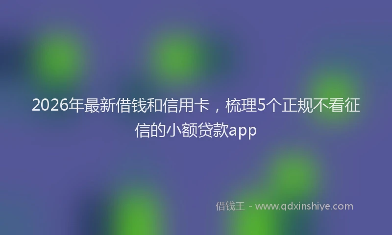 2026年最新借钱和信用卡,梳理5个正规不看征信的小额贷款app