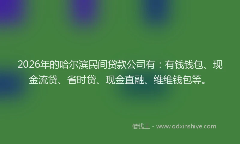 2026年的哈尔滨民间贷款公司有：有钱钱包、现金流贷、省时贷、现金直融、维维钱包等。