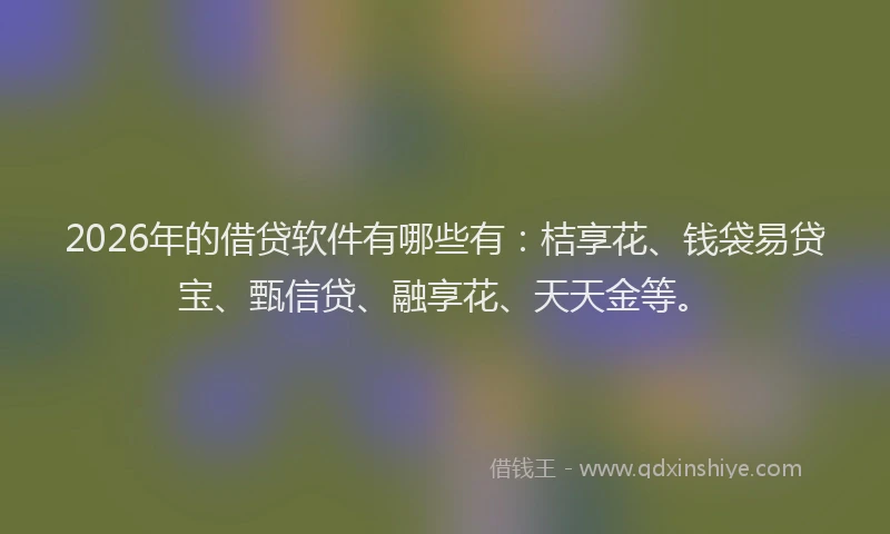 2026年的借贷软件有哪些有:桔享花、钱袋易贷宝、甄信贷、融享花、天天金等。