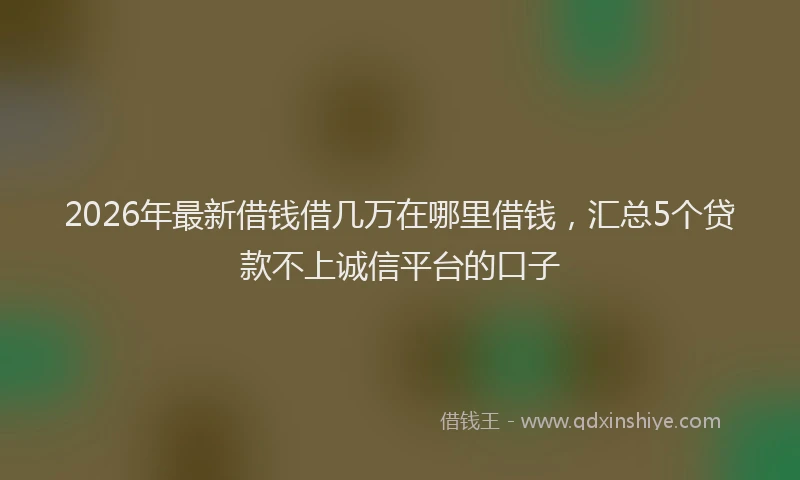 2026年最新借钱借几万在哪里借钱，汇总5个贷款不上诚信平台的口子