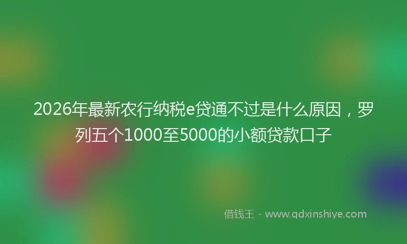 2026年最新农行纳税e贷通不过是什么原因,罗列五个1000至5000的小额贷款口子