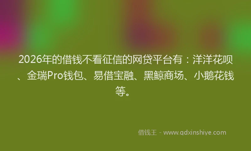 2026年的借钱不看征信的网贷平台有：洋洋花呗、金瑞Pro钱包、易借宝融、黑鲸商场、小鹅花钱等。