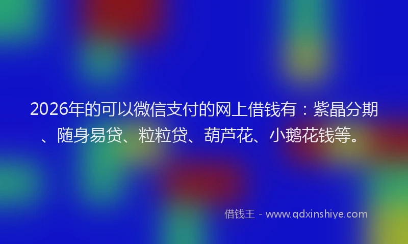 2026年的可以微信支付的网上借钱有：紫晶分期、随身易贷、粒粒贷、葫芦花、小鹅花钱等。