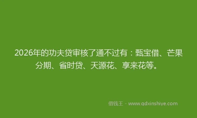2026年的功夫贷审核了通不过有：甄宝借、芒果分期、省时贷、天源花、享来花等。