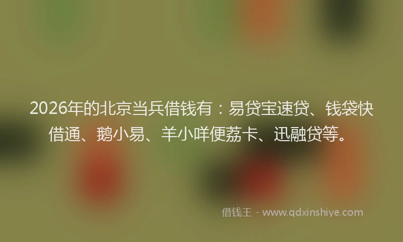 2026年的北京当兵借钱有：易贷宝速贷、钱袋快借通、鹅小易、羊小咩便荔卡、迅融贷等。