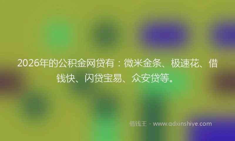 2026年的公积金网贷有:微米金条、极速花、借钱快、闪贷宝易、众安贷等。
