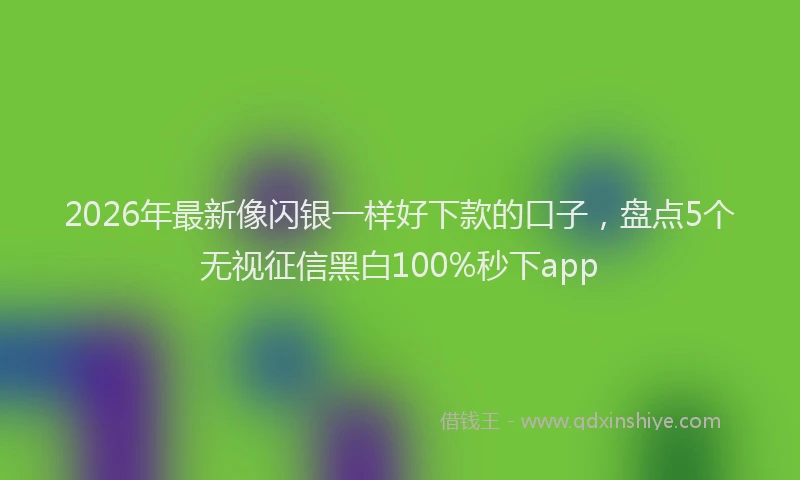 2026年最新像闪银一样好下款的口子，盘点5个无视征信黑白100%秒下app
