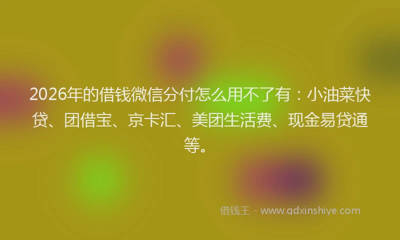 2026年的借钱微信分付怎么用不了有：小油菜快贷、团借宝、京卡汇、美团生活费、现金易贷通等。