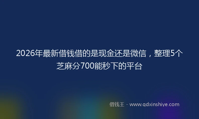 2026年最新借钱借的是现金还是微信，整理5个芝麻分700能秒下的平台