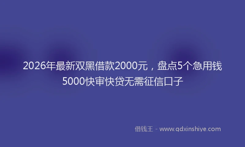 2026年最新双黑借款2000元,盘点5个急用钱5000快审快贷无需征信口子
