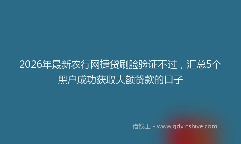 2026年最新农行网捷贷刷脸验证不过,汇总5个黑户成功获取大额贷款的口子