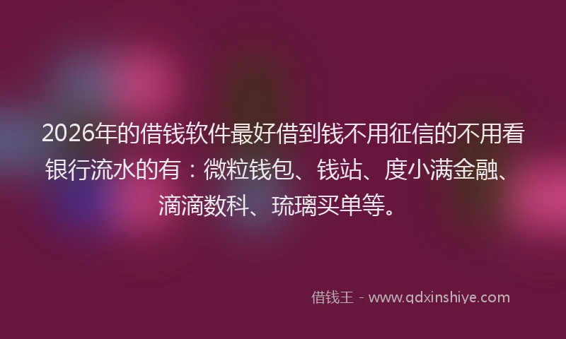 2026年的借钱软件最好借到钱不用征信的不用看银行流水的有：微粒钱包、钱站、度小满金融、滴滴数科、琉璃买单等。