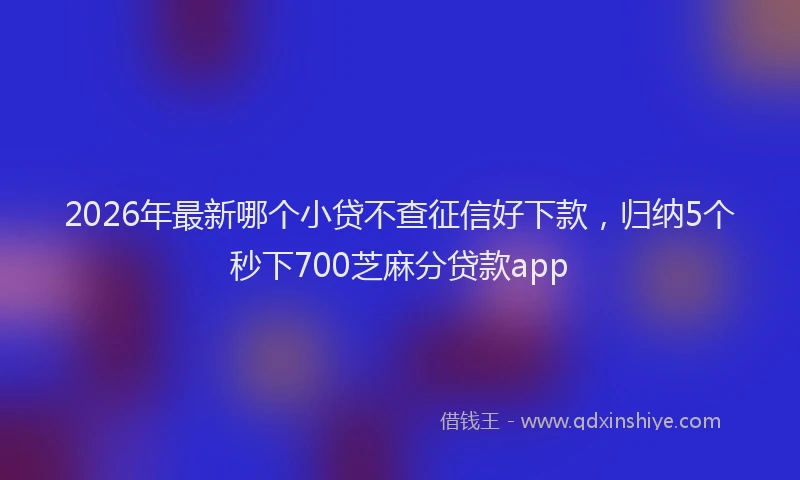 2026年最新哪个小贷不查征信好下款，归纳5个秒下700芝麻分贷款app