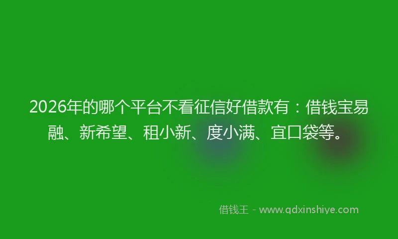 2026年的哪个平台不看征信好借款有:借钱宝易融、新希望、租小新、度小满、宜口袋等。