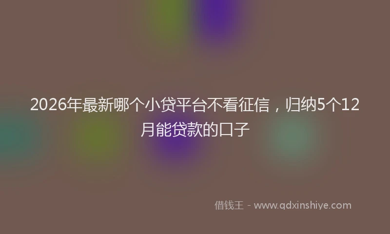 2026年最新哪个小贷平台不看征信，归纳5个12月能贷款的口子