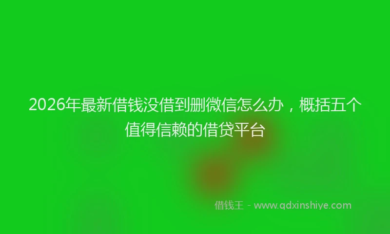 2026年最新借钱没借到删微信怎么办，概括五个值得信赖的借贷平台