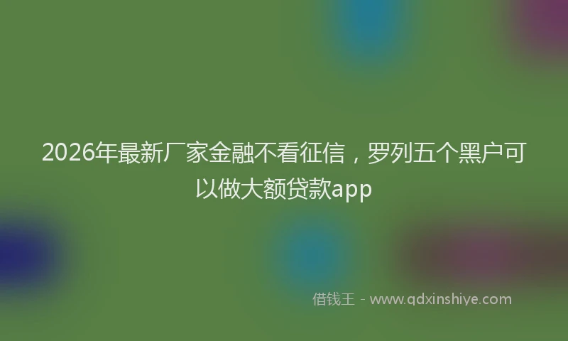 2026年最新厂家金融不看征信，罗列五个黑户可以做大额贷款app