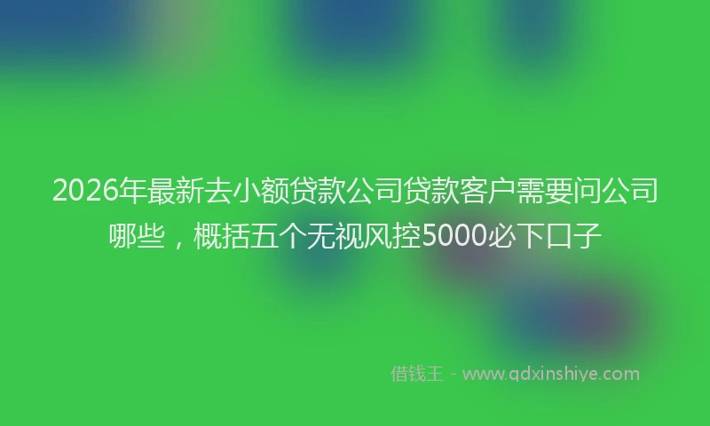 2026年最新去小额贷款公司贷款客户需要问公司哪些,概括五个无视风控5000必下口子