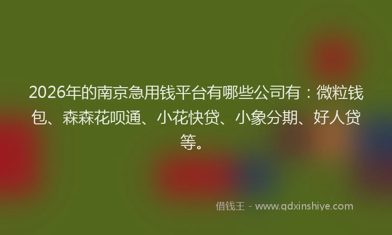2026年的南京急用钱平台有哪些公司有：微粒钱包、森森花呗通、小花快贷、小象分期、好人贷等。