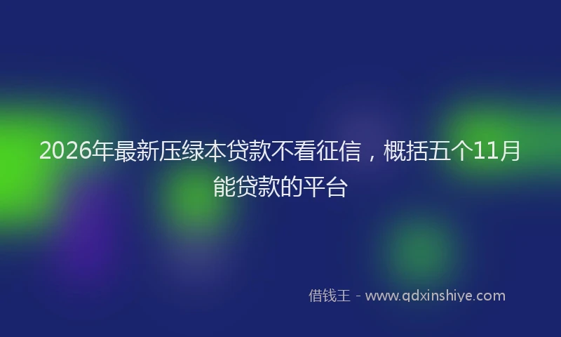 2026年最新压绿本贷款不看征信,概括五个11月能贷款的平台