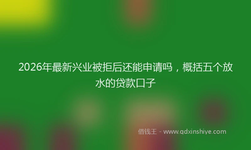 2026年最新兴业被拒后还能申请吗，概括五个放水的贷款口子