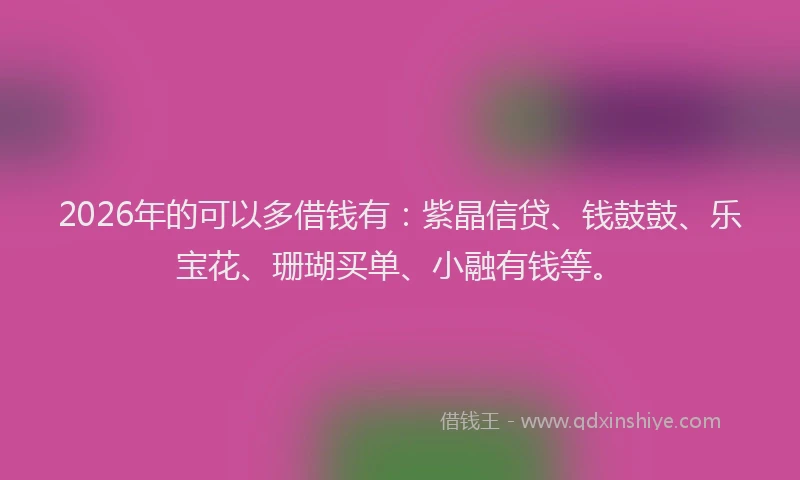 2026年的可以多借钱有:紫晶信贷、钱鼓鼓、乐宝花、珊瑚买单、小融有钱等。