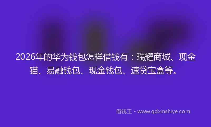 2026年的华为钱包怎样借钱有：瑞耀商城、现金猫、易融钱包、现金钱包、速贷宝盒等。