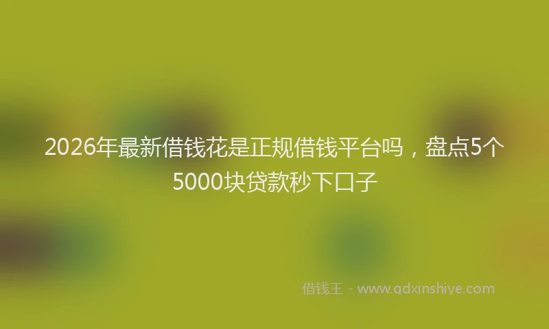 2026年最新借钱花是正规借钱平台吗,盘点5个5000块贷款秒下口子