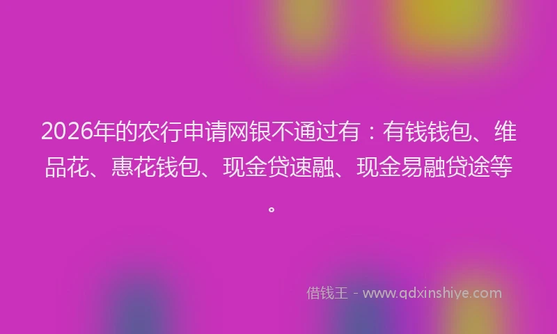2026年的农行申请网银不通过有：有钱钱包、维品花、惠花钱包、现金贷速融、现金易融贷途等。