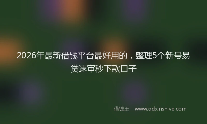 2026年最新借钱平台最好用的,整理5个新号易贷速审秒下款口子