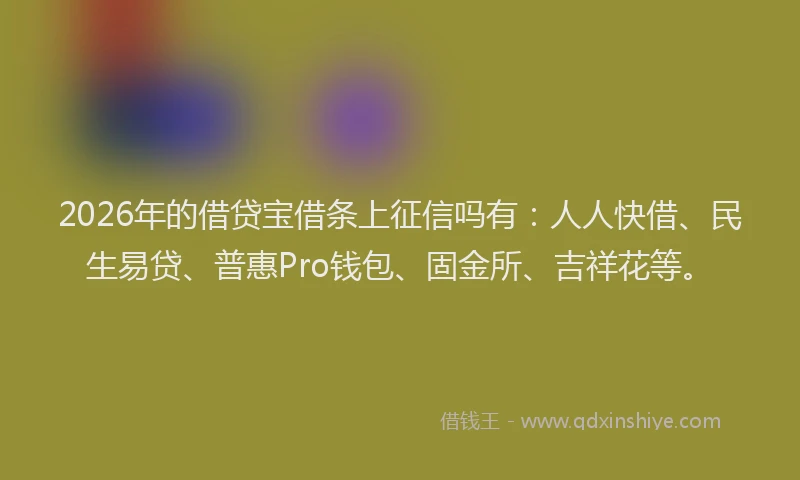2026年的借贷宝借条上征信吗有：人人快借、民生易贷、普惠Pro钱包、固金所、吉祥花等。