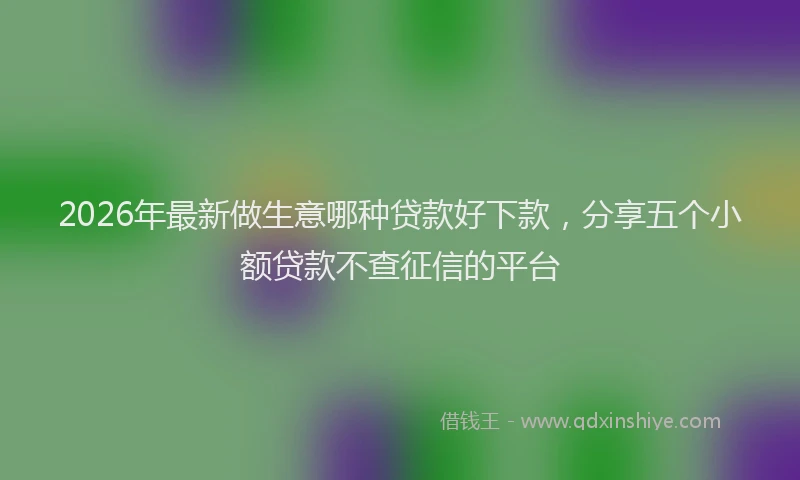 2026年最新做生意哪种贷款好下款，分享五个小额贷款不查征信的平台