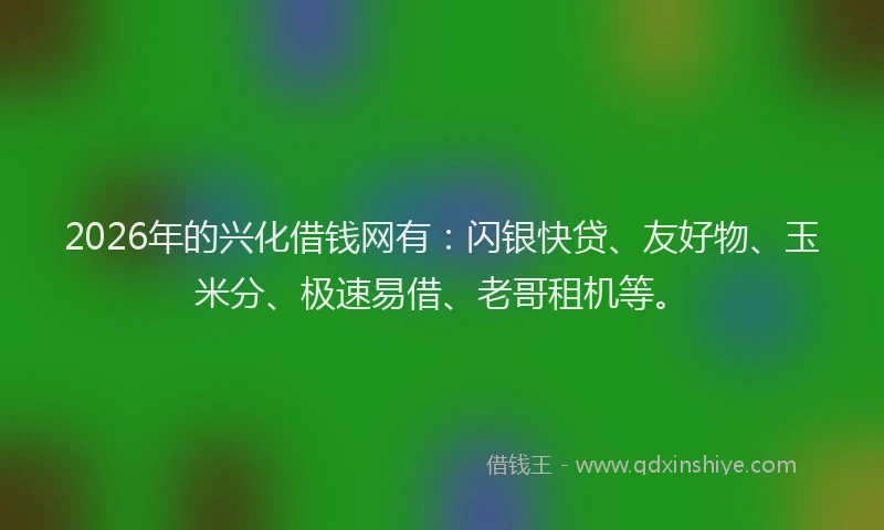 2026年的兴化借钱网有：闪银快贷、友好物、玉米分、极速易借、老哥租机等。