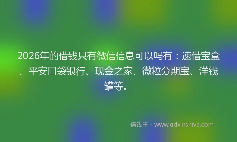 2026年的借钱只有微信信息可以吗有：速借宝盒、平安口袋银行、现金之家、微粒分期宝、洋钱罐等。