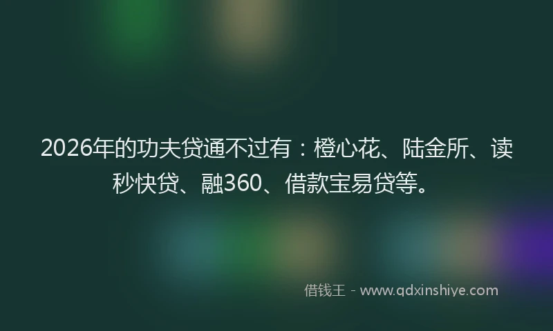 2026年的功夫贷通不过有：橙心花、陆金所、读秒快贷、融360、借款宝易贷等。