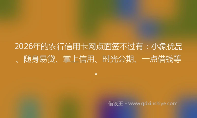 2026年的农行信用卡网点面签不过有:小象优品、随身易贷、掌上信用、时光分期、一点借钱等。