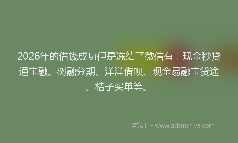 2026年的借钱成功但是冻结了微信有：现金秒贷通宝融、树融分期、洋洋借呗、现金易融宝贷途、桔子买单等。
