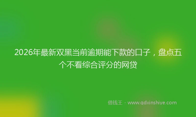 2026年最新双黑当前逾期能下款的口子，盘点五个不看综合评分的网贷