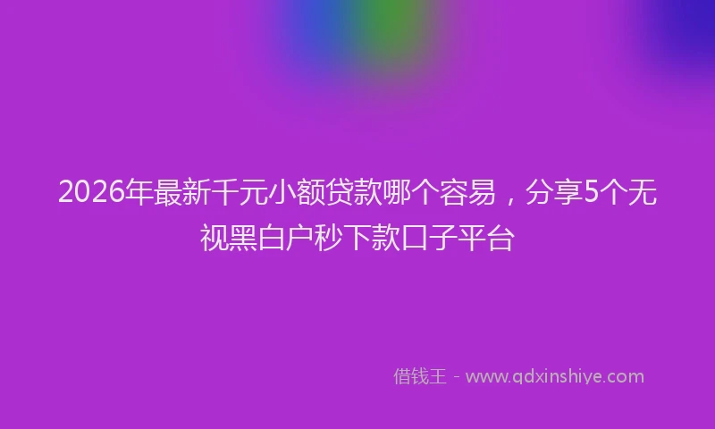 2026年最新千元小额贷款哪个容易，分享5个无视黑白户秒下款口子平台
