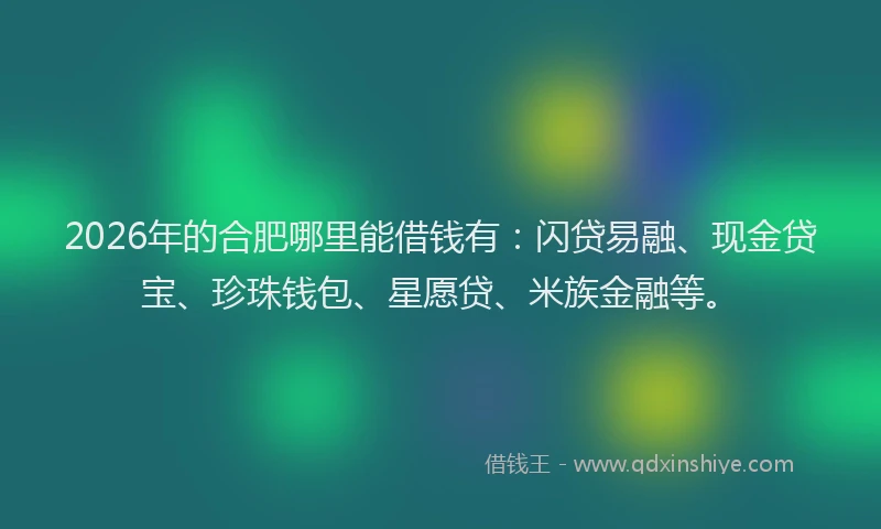 2026年的合肥哪里能借钱有:闪贷易融、现金贷宝、珍珠钱包、星愿贷、米族金融等。